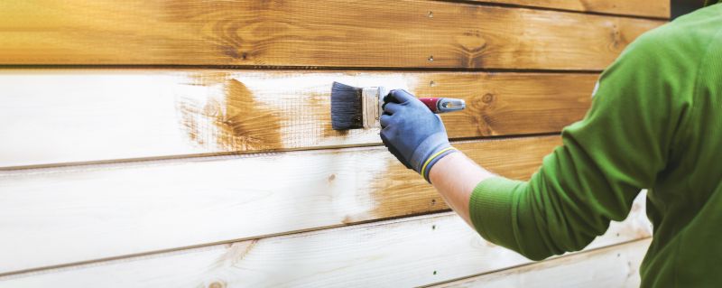 Siding Painting Service in Fort Collins, CO